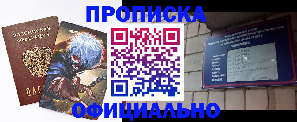 прописка для школы в Курске